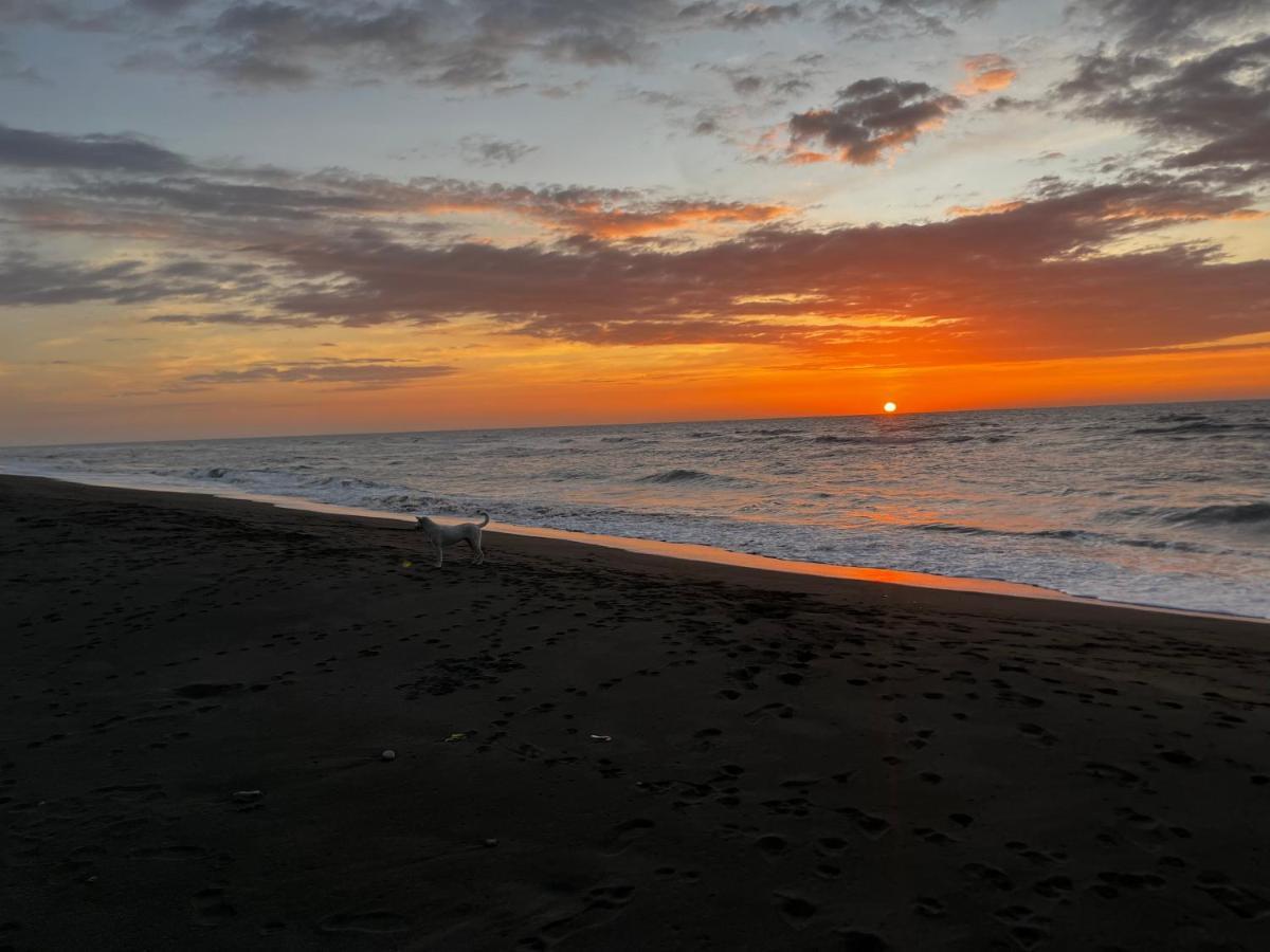 Vistapaloma Beach Resort Odiong エクステリア 写真